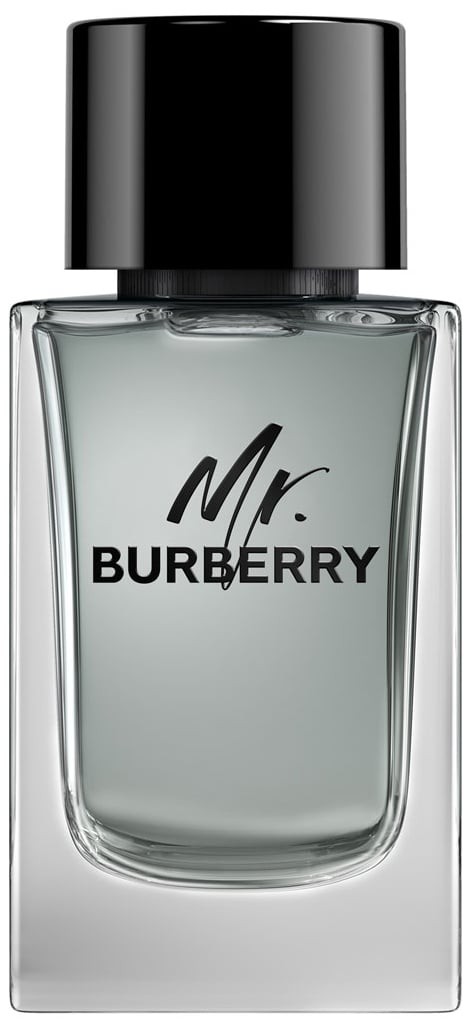 Burberry Mr. Burberry Eau de Toilette 150 ml | Parfumswinkel