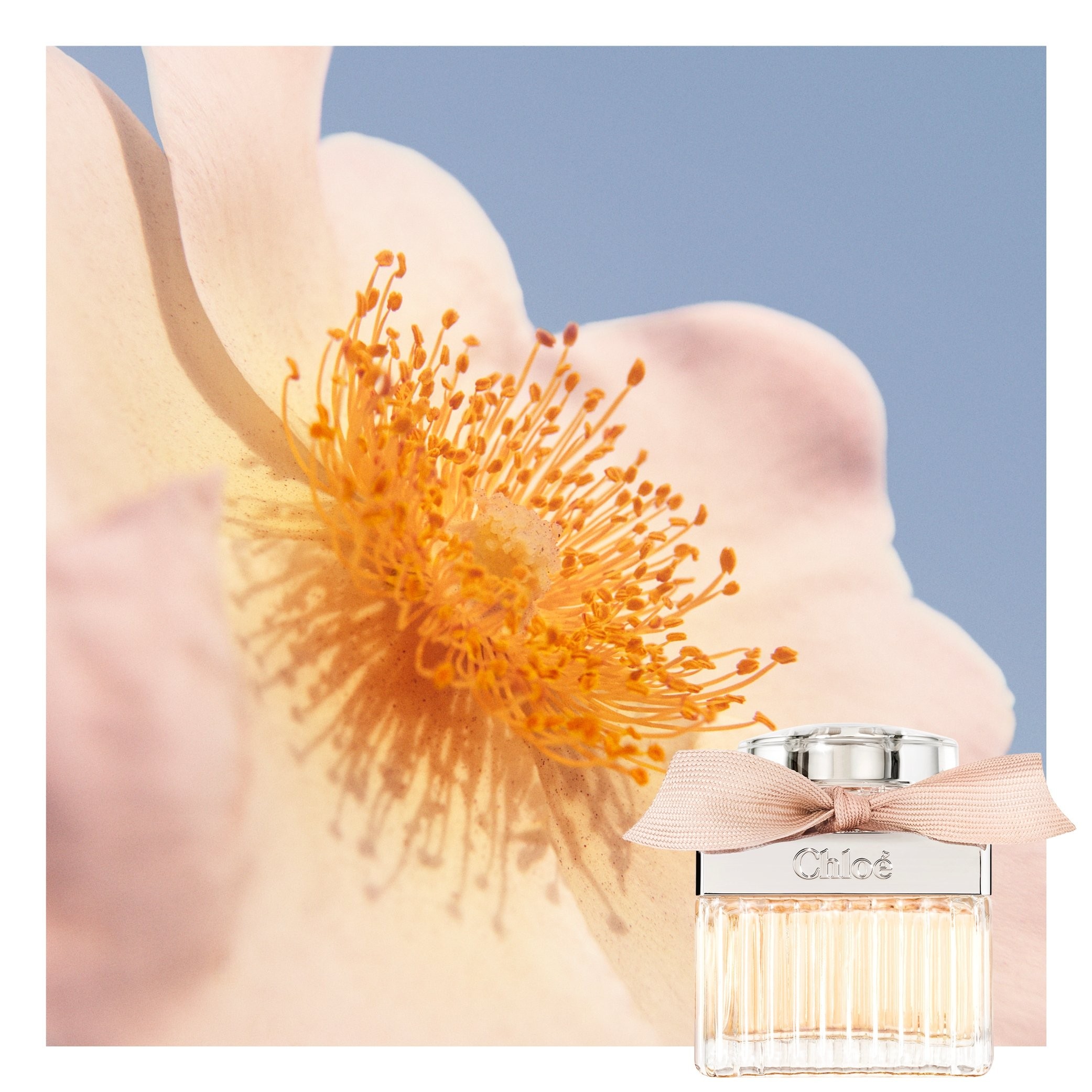 Chloé Chloé Eau de Parfum 50 ml | Parfumswinkel