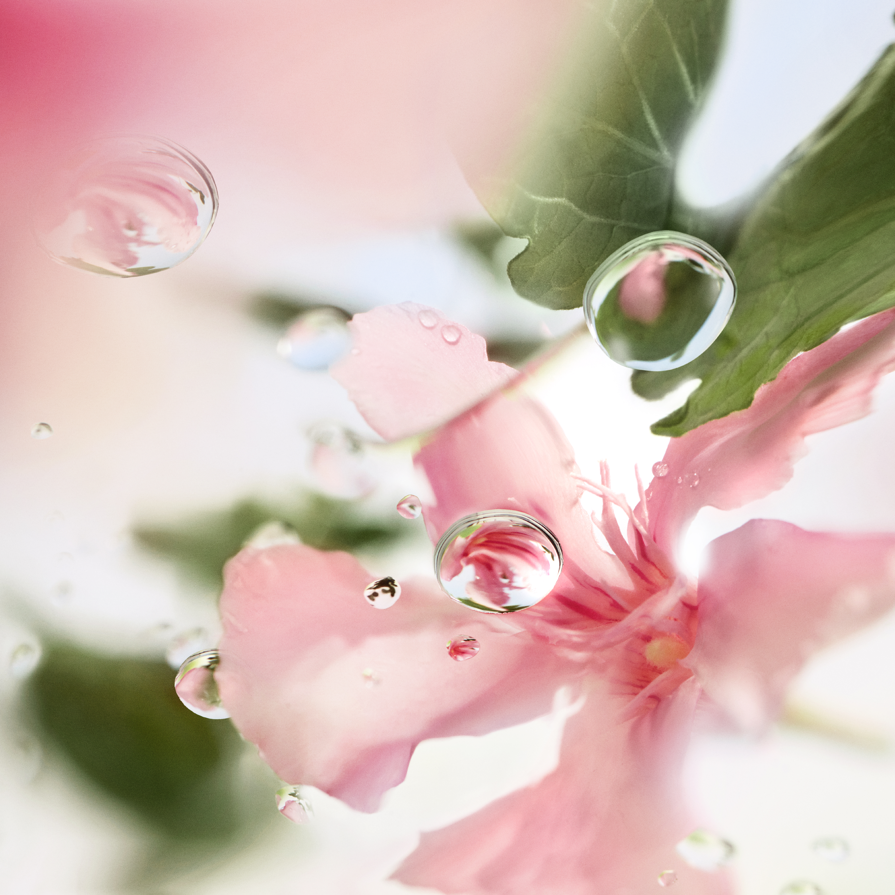 Lancôme Over The Top Eau de Toilette 100 ml | Parfumswinkel