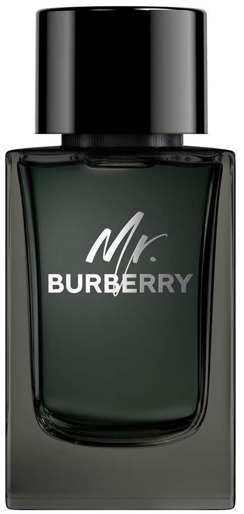burberry_mr__burberry_eau_de_parfum_spray_150_ml_3616301838203_202992_20211217110419