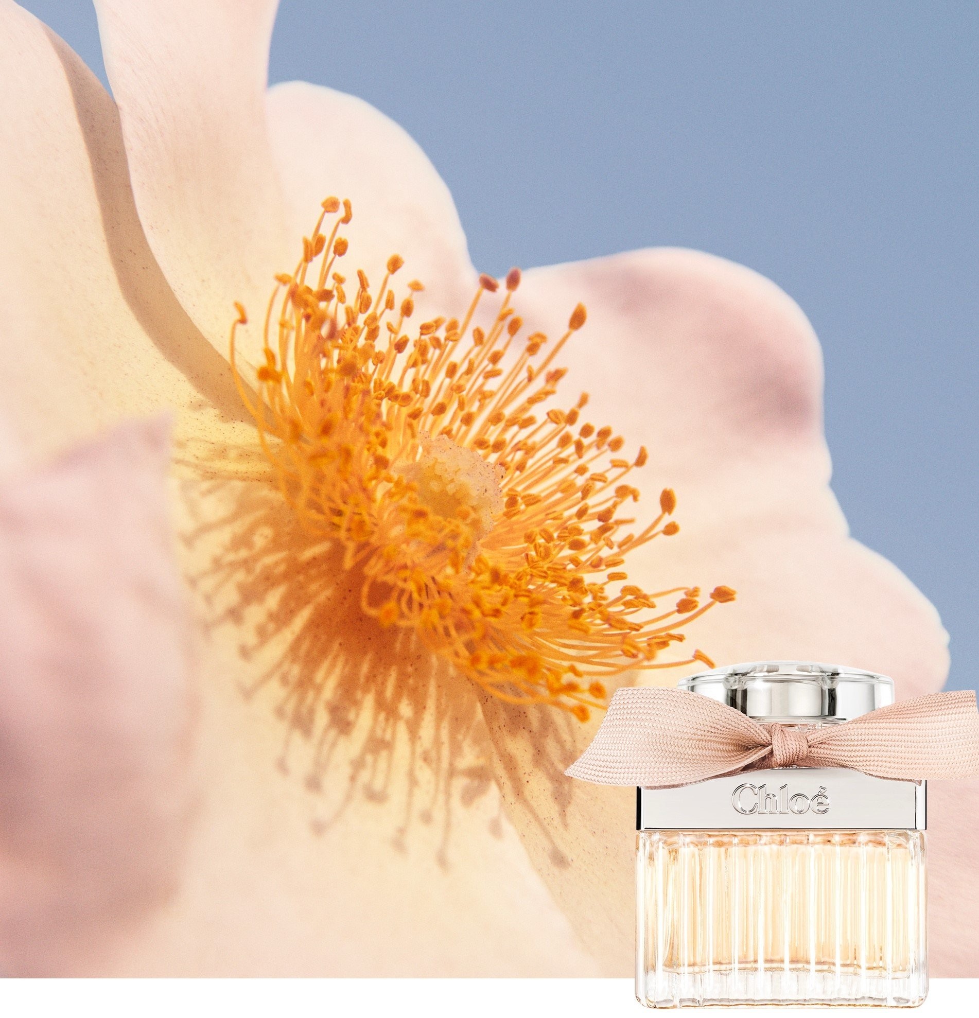 Chloé Chloé Eau de Parfum 75 ml | BeautyX