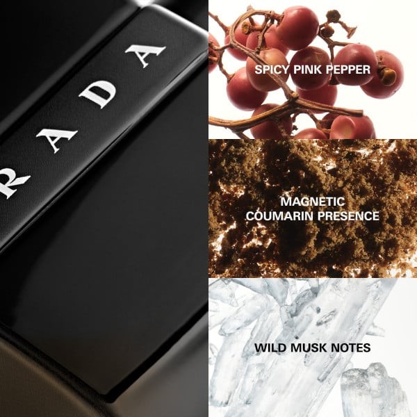 PRADA LUNA ROSSA BLACK 50ml プラダブラック Luna Rossa Black Eau de Parfum | Prada Beauty Official Site