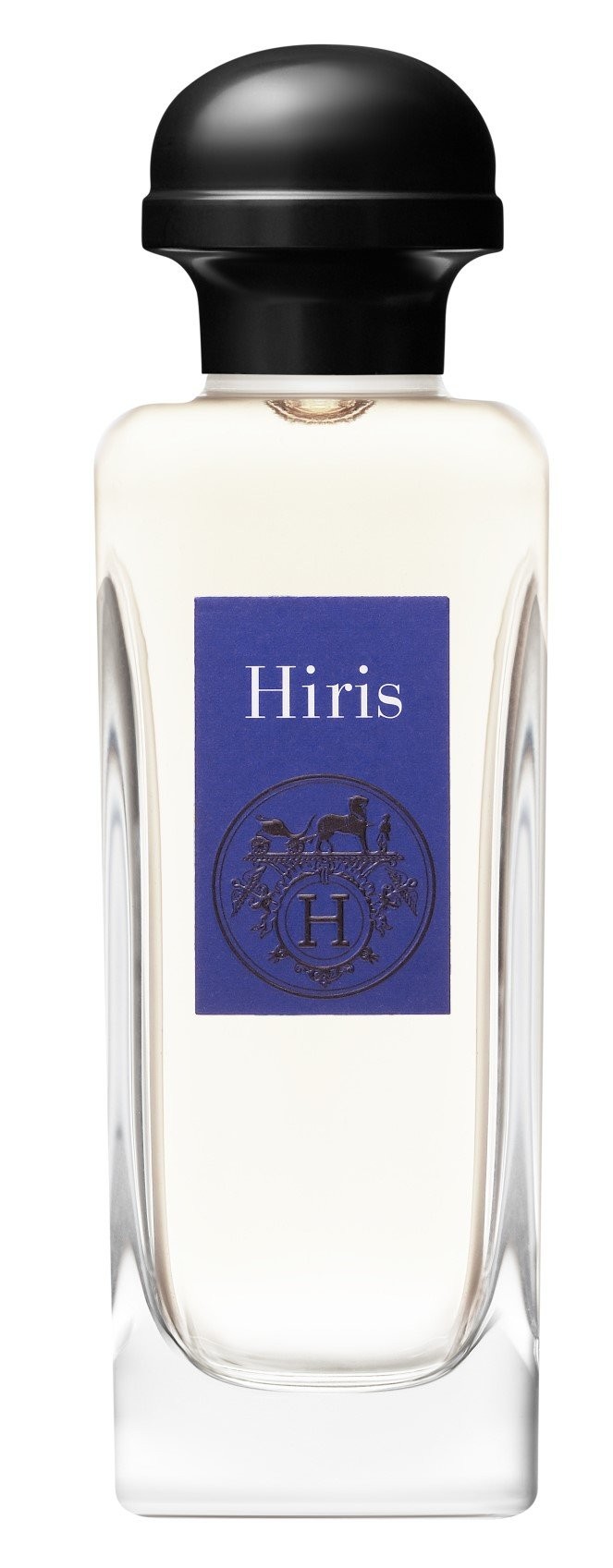 Hermès Hiris Eau de Toilette 100 ml | Parfumswinkel