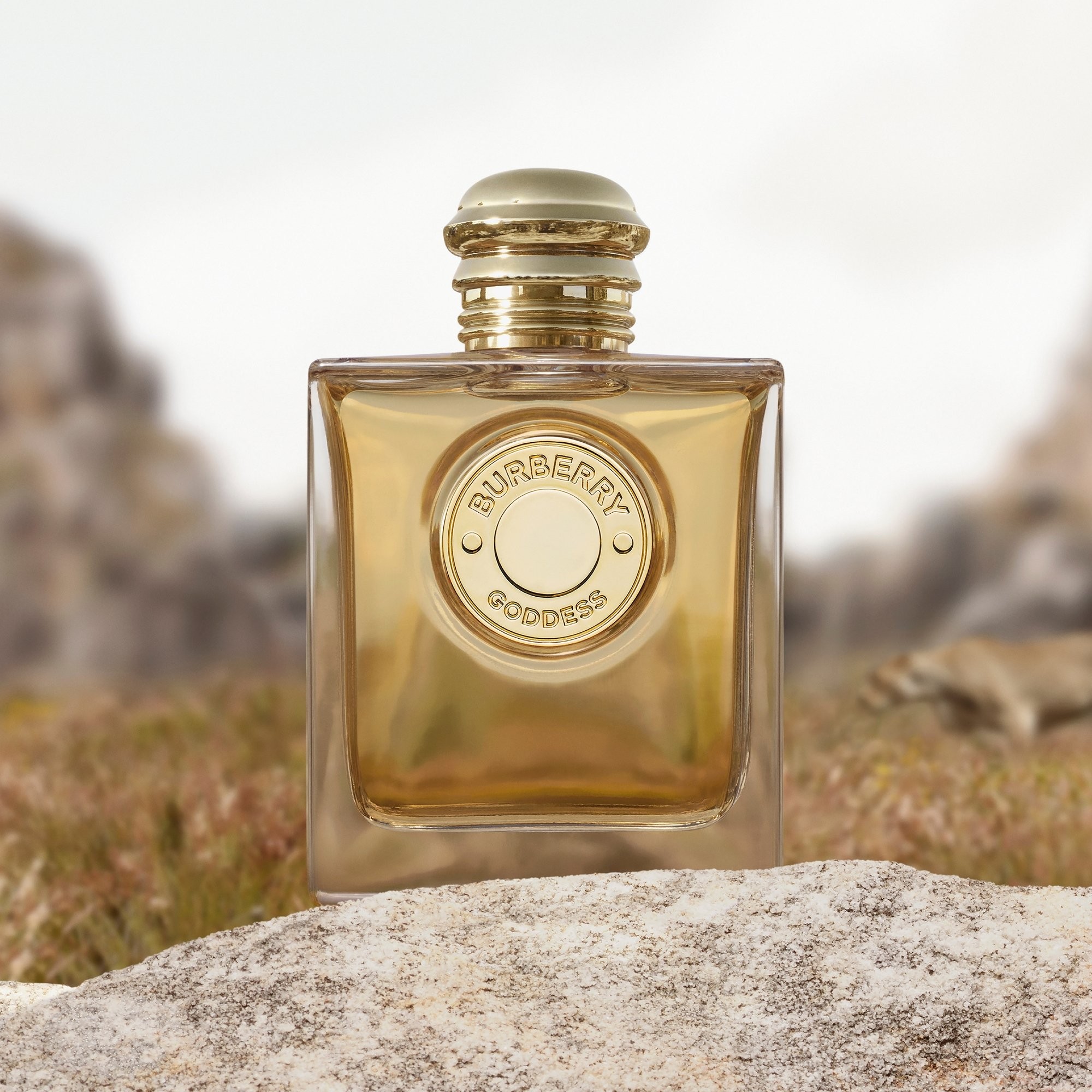 香水(男性用) Burberry GoddessEaude Parfum 100ml un Burberry Goddess Intense Eau de Parfum 100 ml | Parfumswinkel