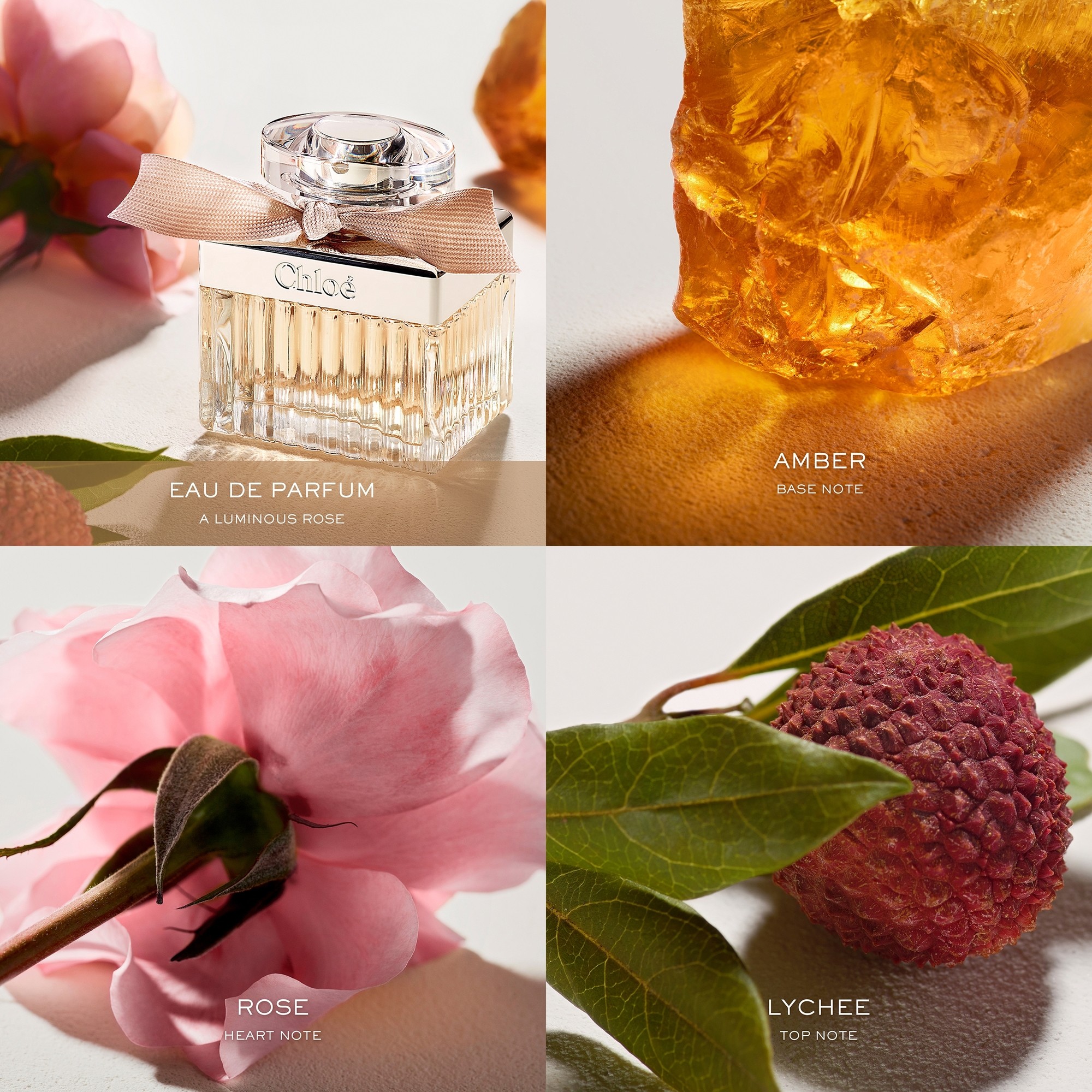 Chloé Chloé Eau de Parfum 30 ml | Parfumswinkel