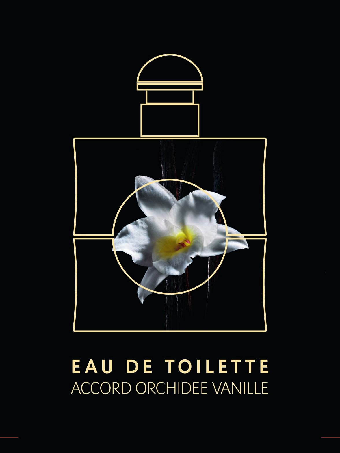 Opium Opiumページ Opium by Yves Saint Laurent 50ml EDP — Perfume NZ