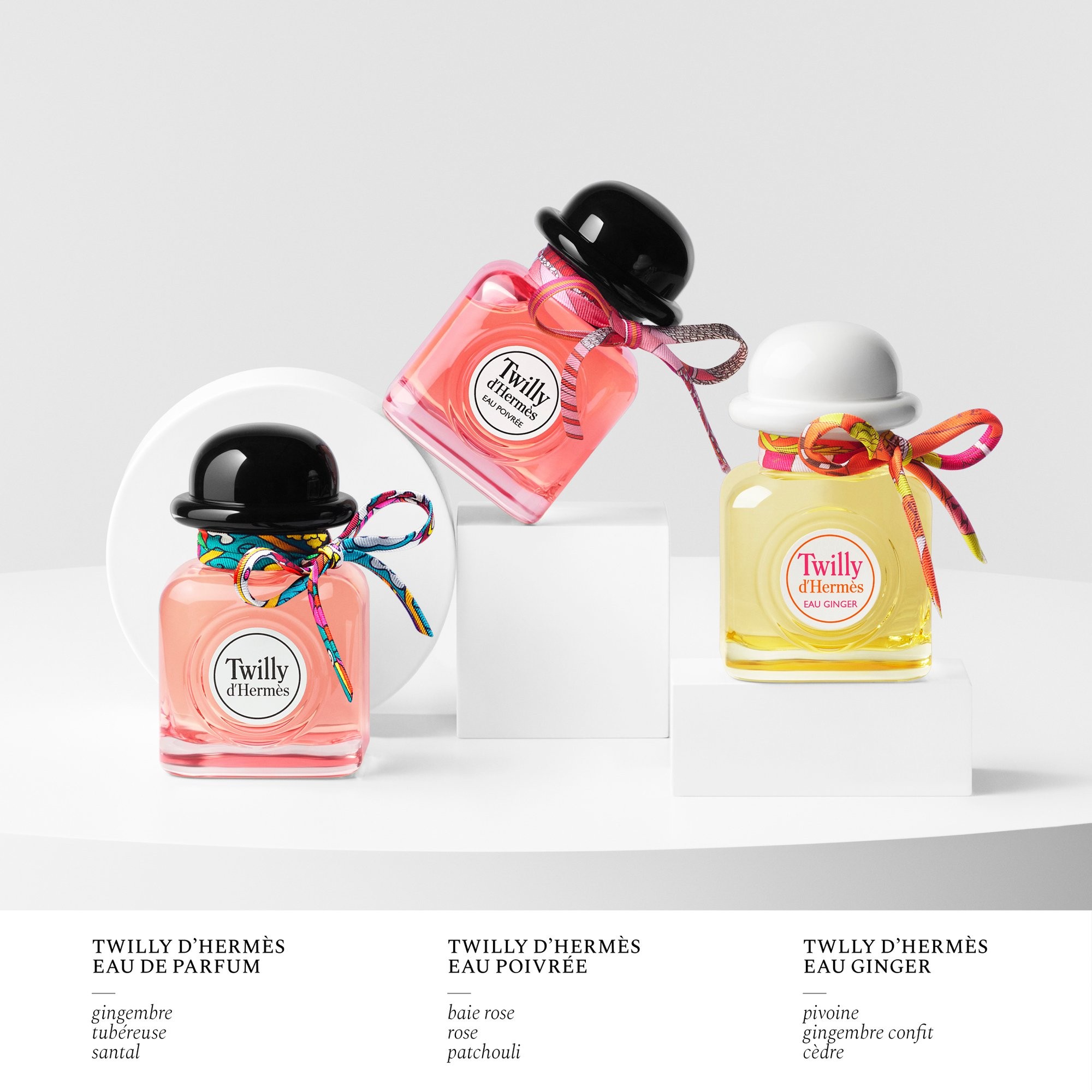 Twilly d'Hermès Eau de Parfum 50ML 未開封 Парфюмерная вода Twilly d'Hermès (50ml) HERMÈS для женщин