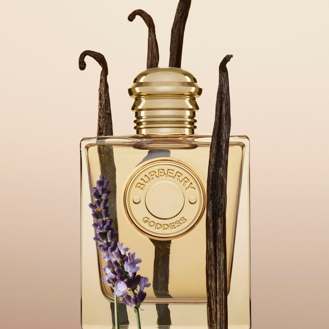 バーバリー（BURBERRY) | 2024 HOLIDAY GIFT